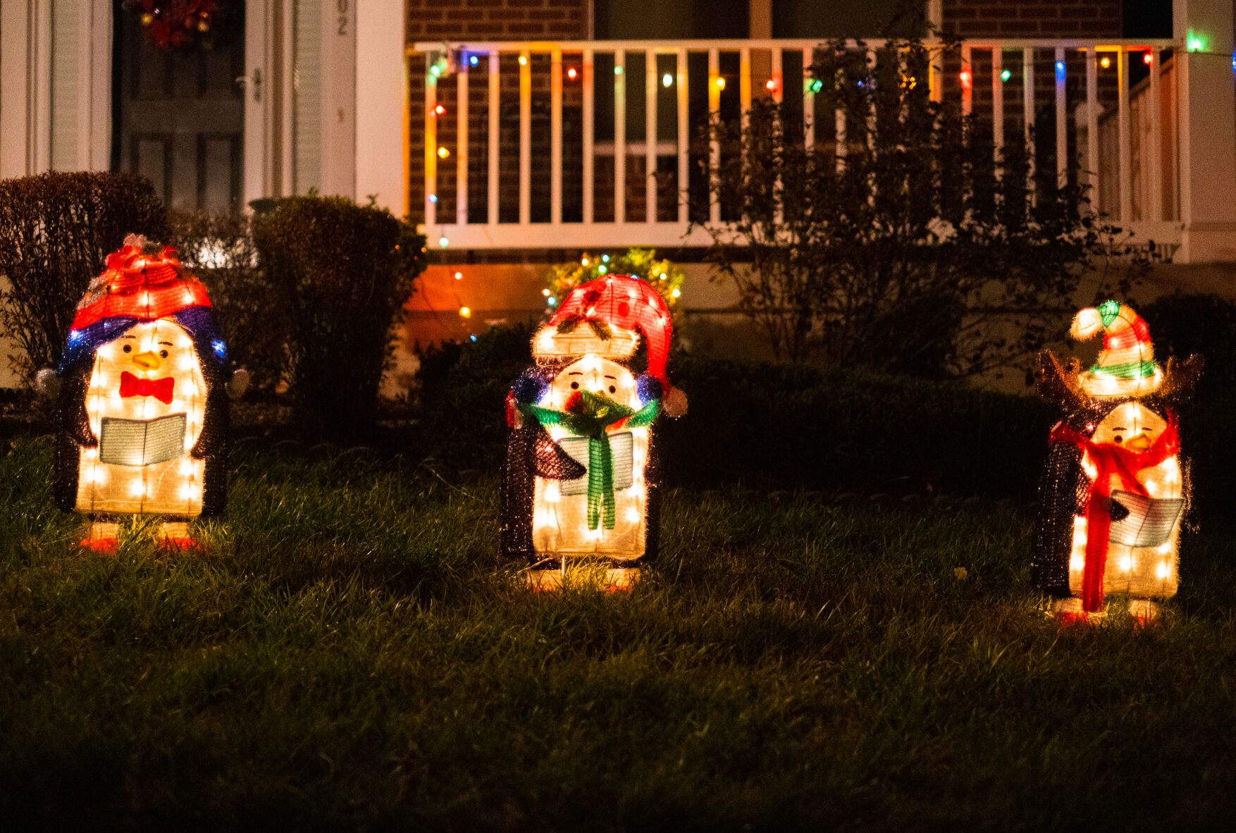 photo_ft_news_xmas lights margaret way-1.jpg